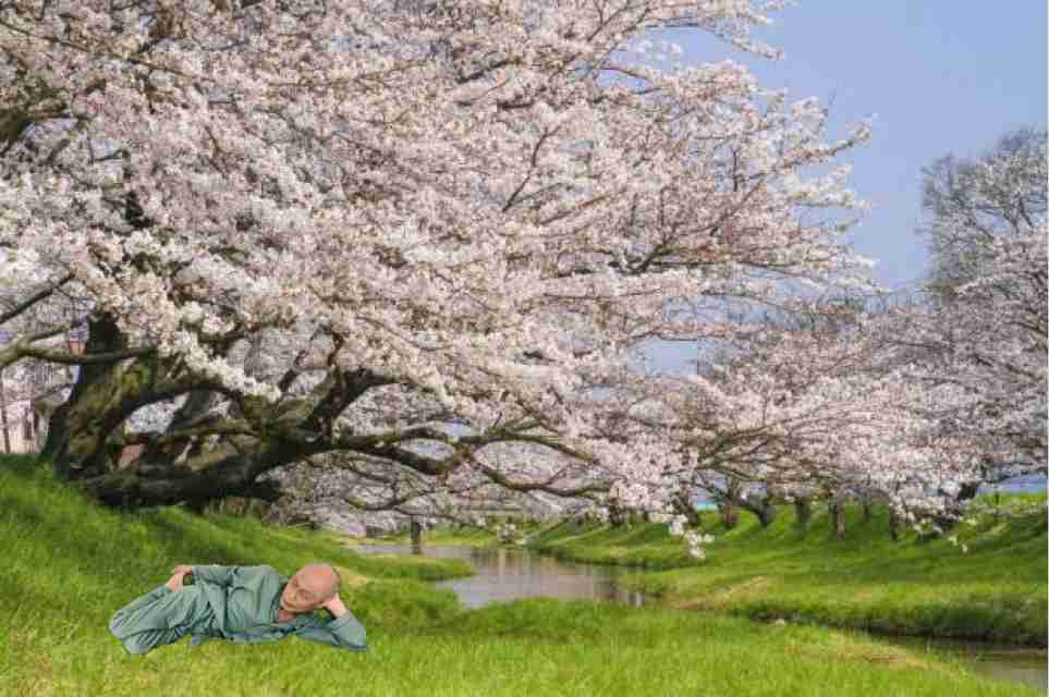 【画像】デートしてる気分になれるトピ【妄想】