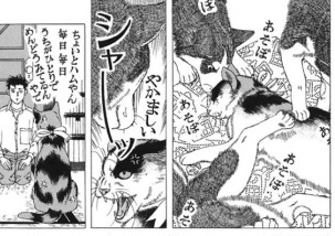 犬と猫の上下関係がよく表れている画像を見てみよう