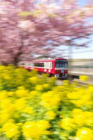 【雑談】私鉄を語ろう　～首都圏篇～