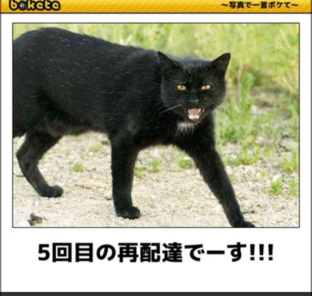 アマゾンも「置き配」　テスト導入に「再配達にならない 最高」