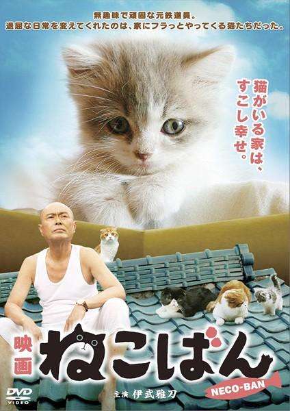上司になって欲しい有名人
