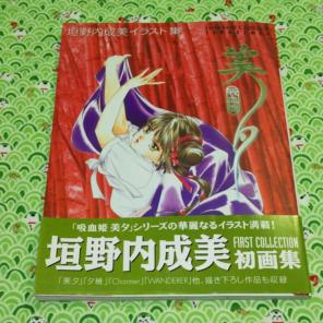 アニメ・マンガ・ゲームなどのイラスト集