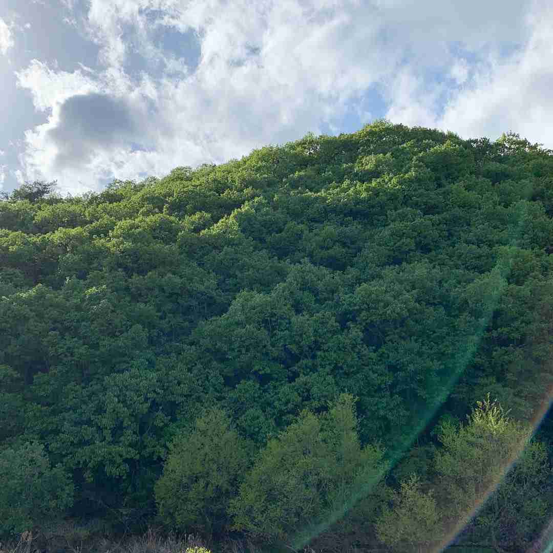 青空にかかる虹「環水平アーク」が出現　かなり珍しい「幻日環」も
