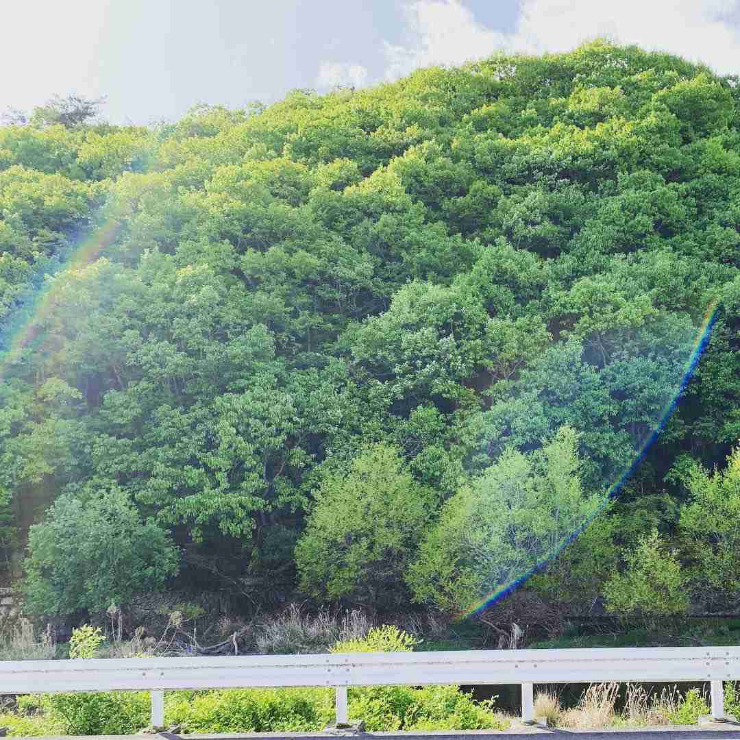 青空にかかる虹「環水平アーク」が出現　かなり珍しい「幻日環」も