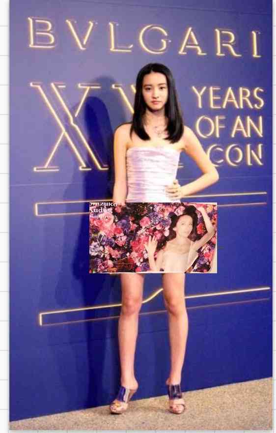 工藤静香、オリジナルエプロンに困惑の声 「これはさすがに…」