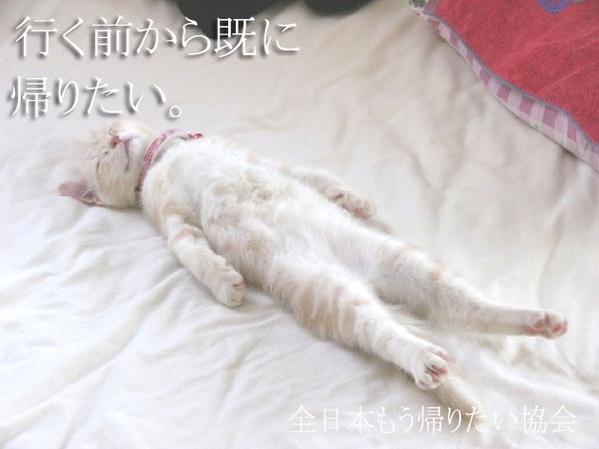 【10連休も?!】画像で綴るガル民のゴールデンウィーク！