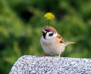 【10連休も?!】画像で綴るガル民のゴールデンウィーク！