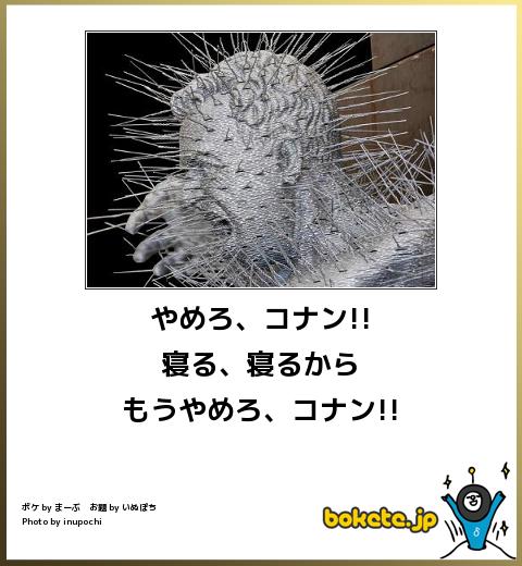 【10連休も?!】画像で綴るガル民のゴールデンウィーク！