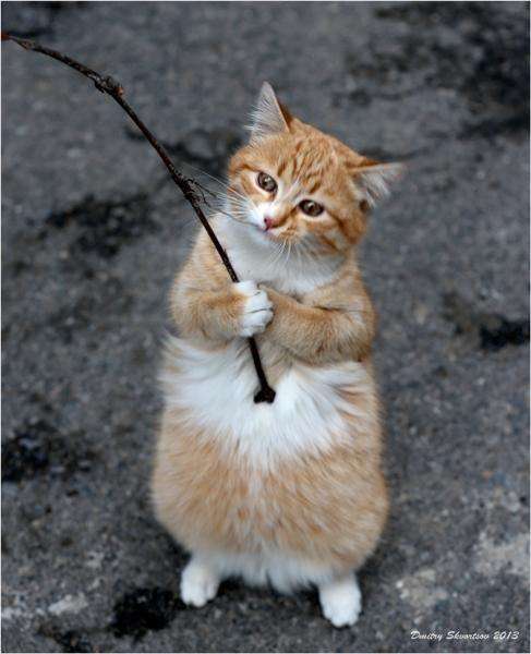 物を買ってくれない彼氏