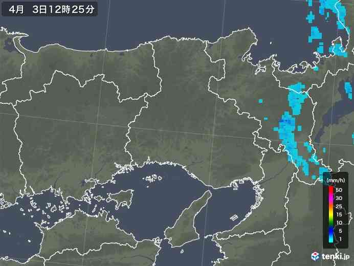 【実況・感想】第91回選抜高校野球大会 決勝