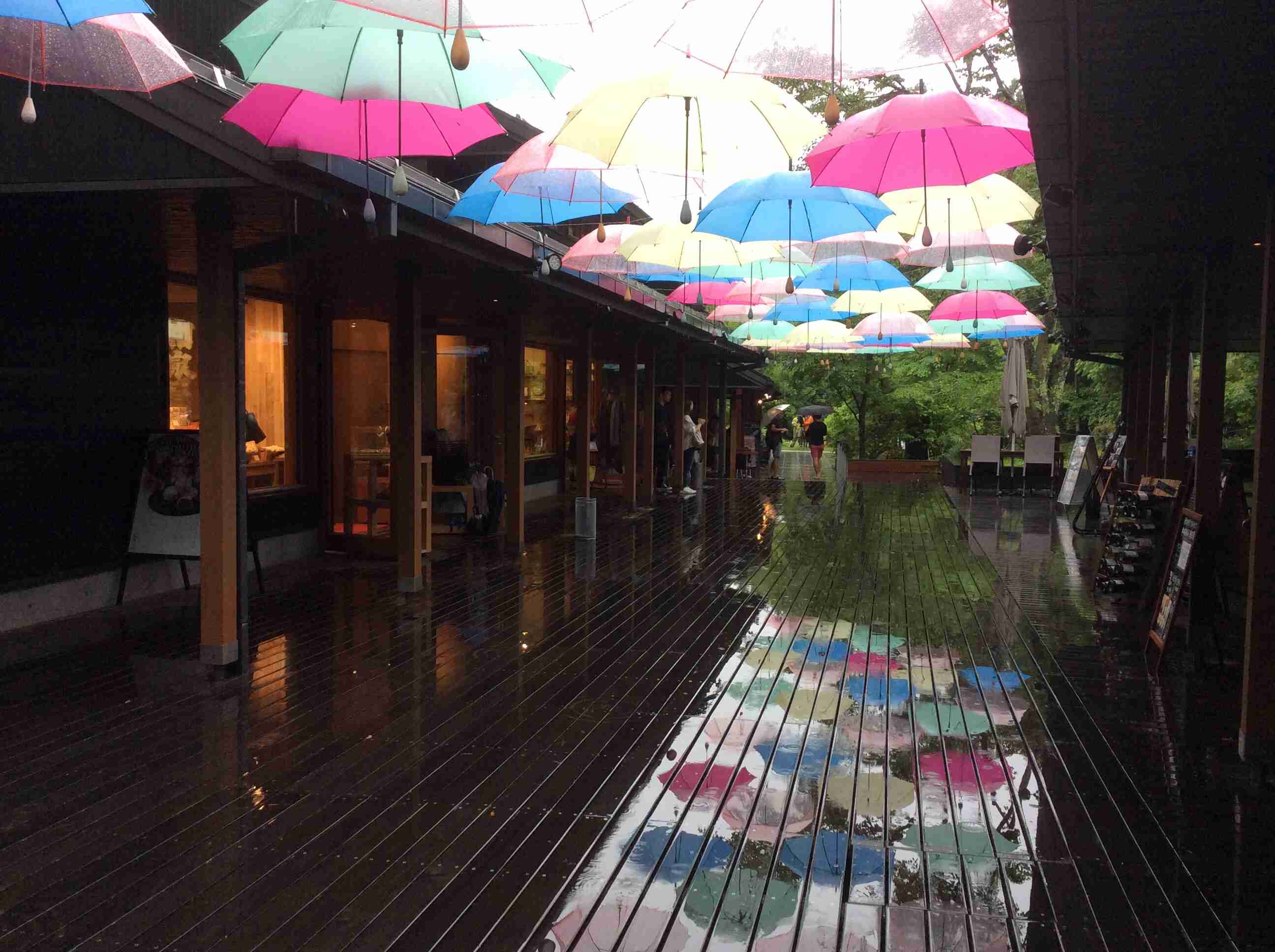 旅行の日が雨