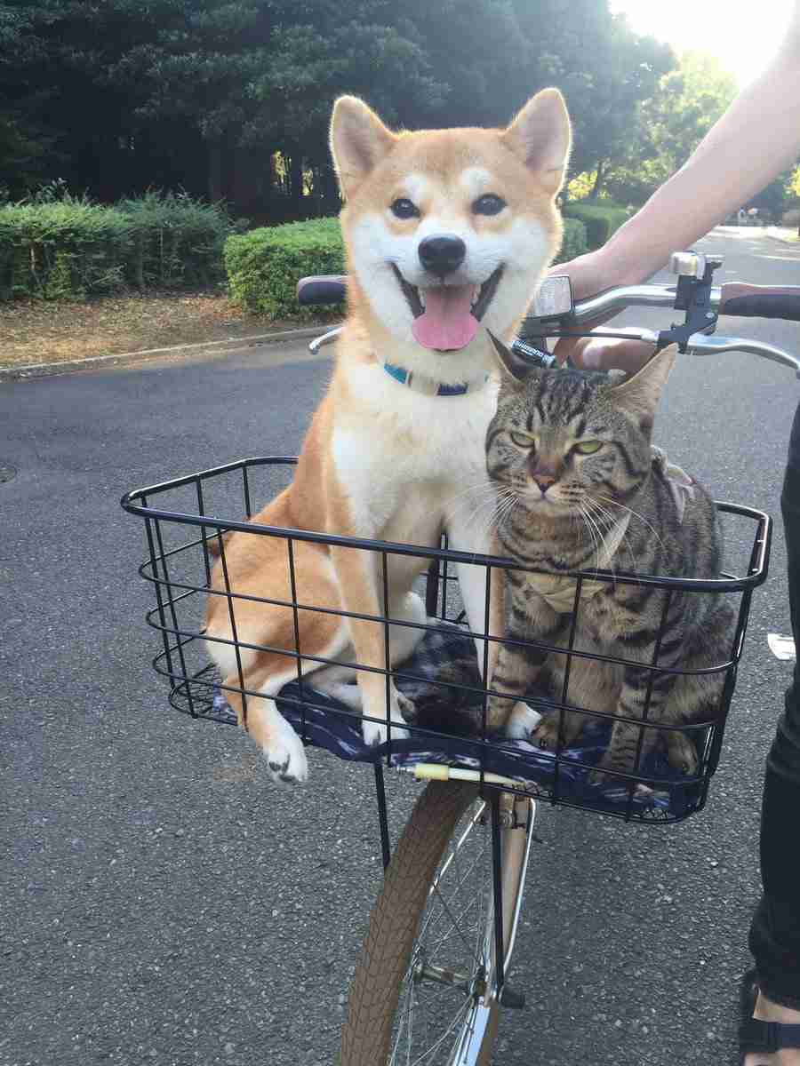 ［ネタトピ］がる民だけで行う花見にありがちなこと