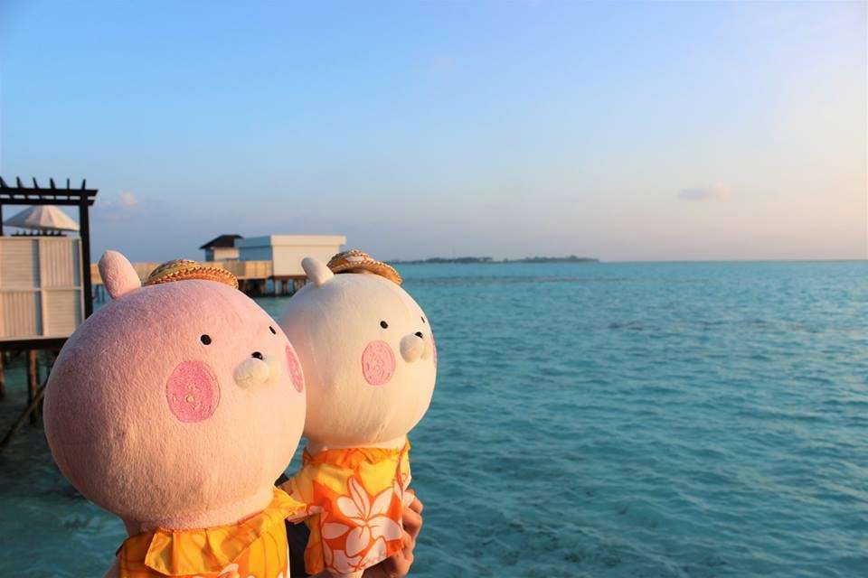 ぬい撮り見せてください
