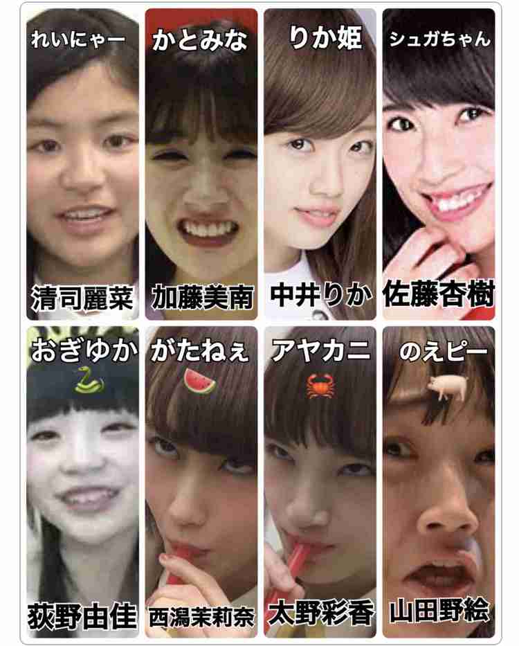 NGT48、チーム制度取りやめ 23日に千秋楽公演