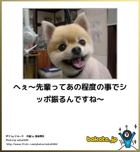 人間に尻尾があったら立ちそうなトピpart2