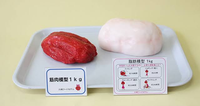 今日保存した画像を延々と載せていくトピ