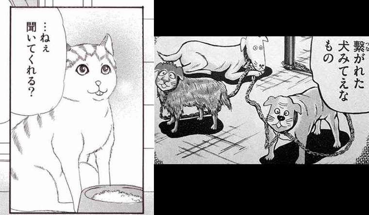 今日保存した画像を延々と載せていくトピ