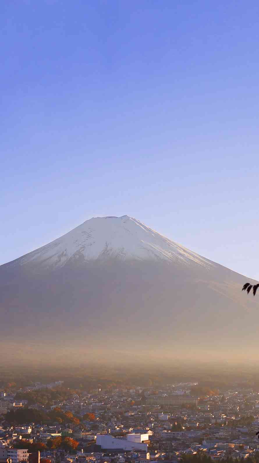 今日保存した画像を延々と載せていくトピ