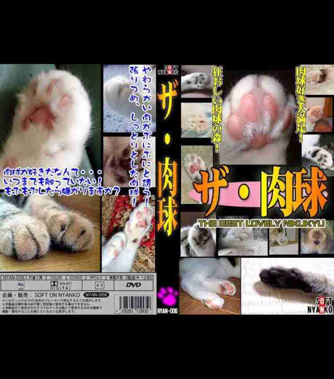 今日保存した画像を延々と載せていくトピ
