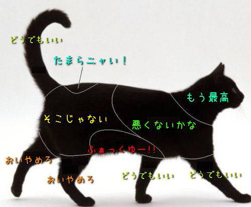 今日保存した画像を延々と載せていくトピ