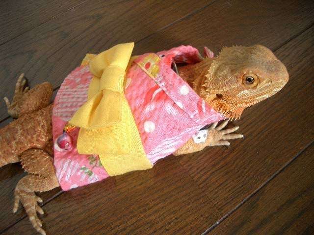 NGT48荻野由佳を起用したファッションブランド「Heather」　批判殺到で謝罪しコンテンツ削除