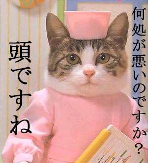 病院が苦手な人大集合！