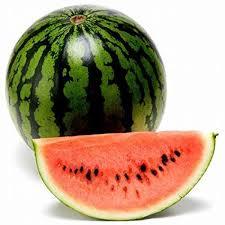 モバイルSuica使っていますか？