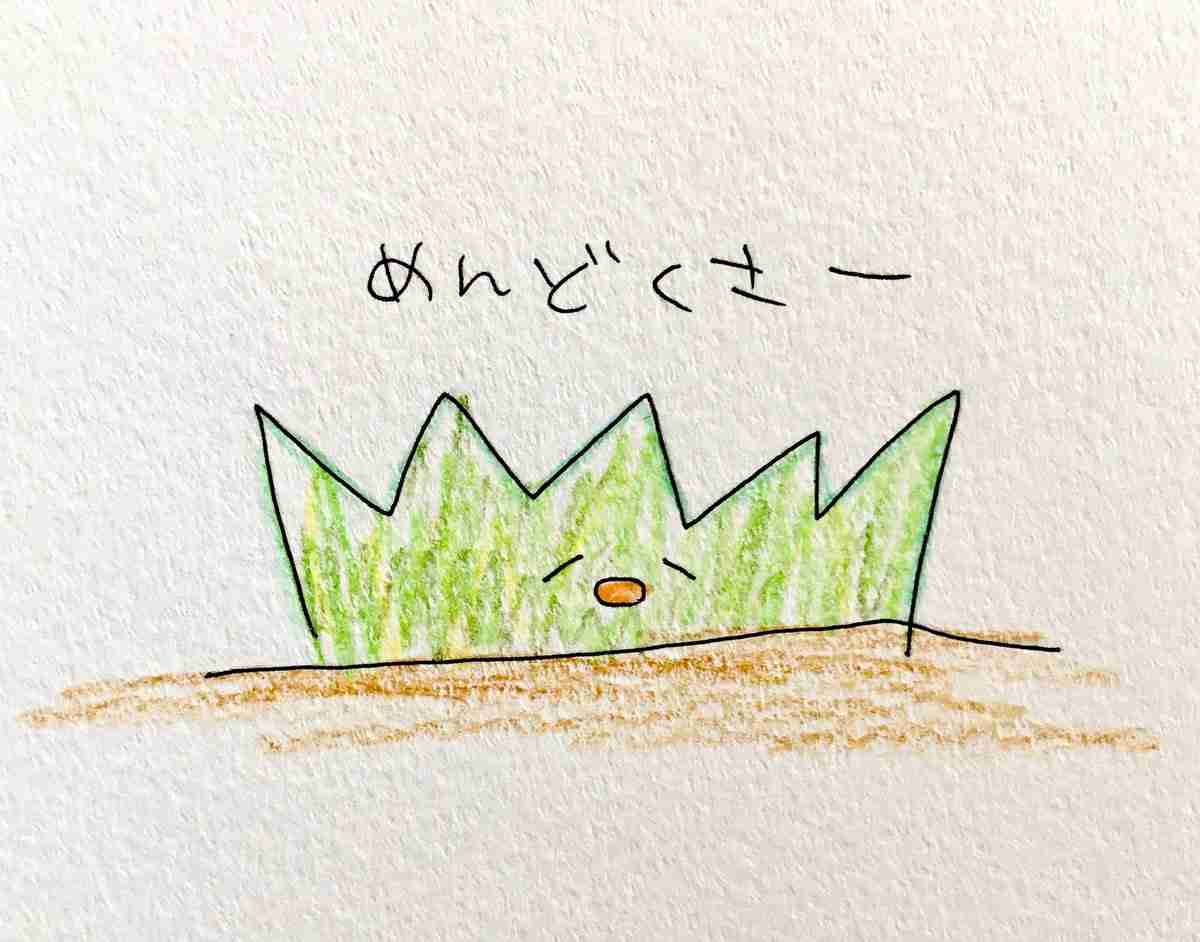 母・工藤静香のレシピを見事に継承　木村家長女の手料理に驚きの声