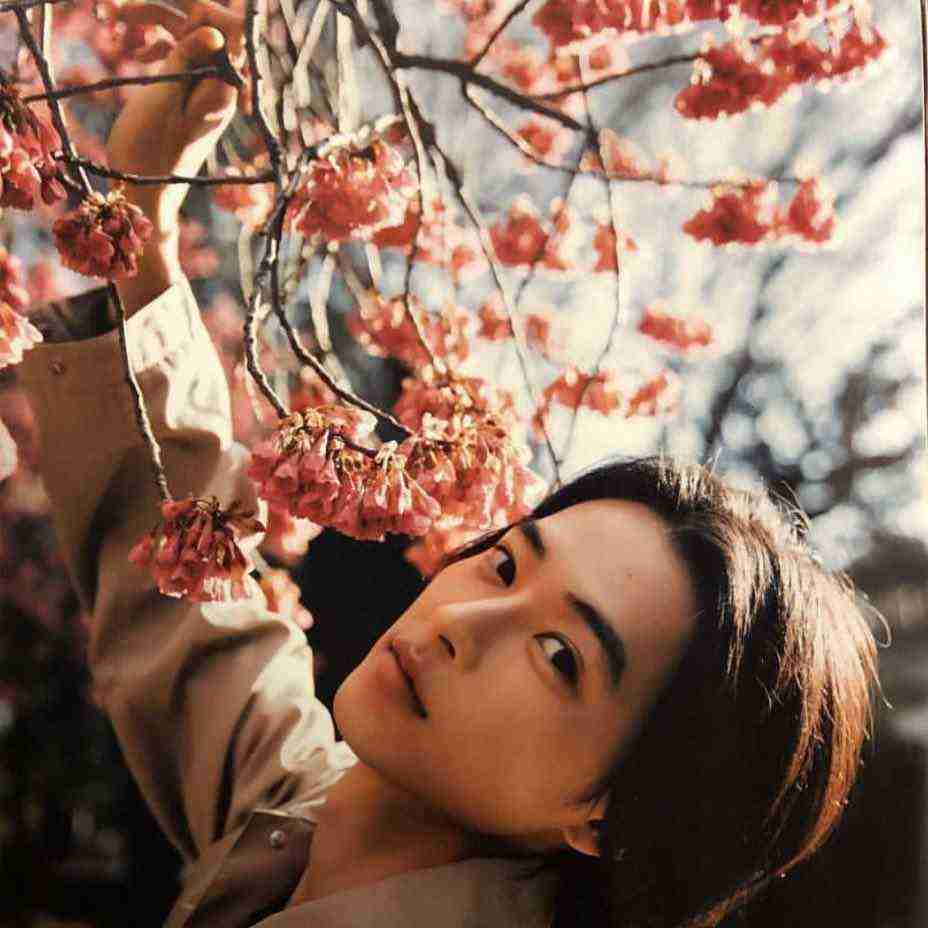 山崎賢人『キングダム』大ヒットに感慨「代表作になった」吉沢亮も歓喜