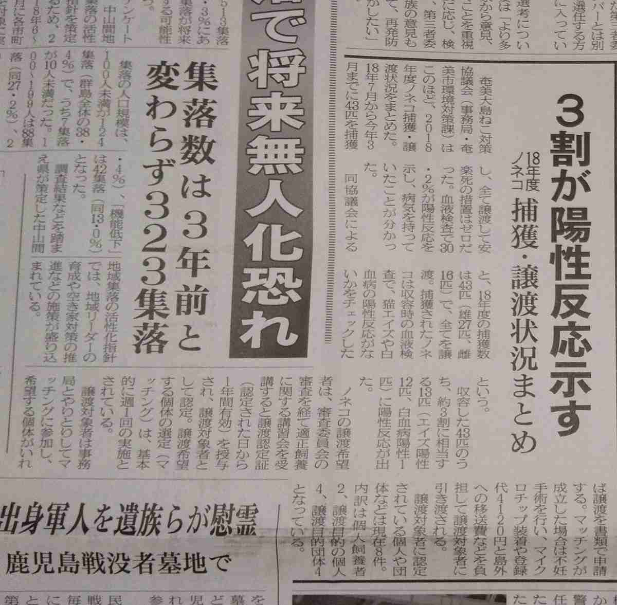 保護犬・猫と暮らしている人