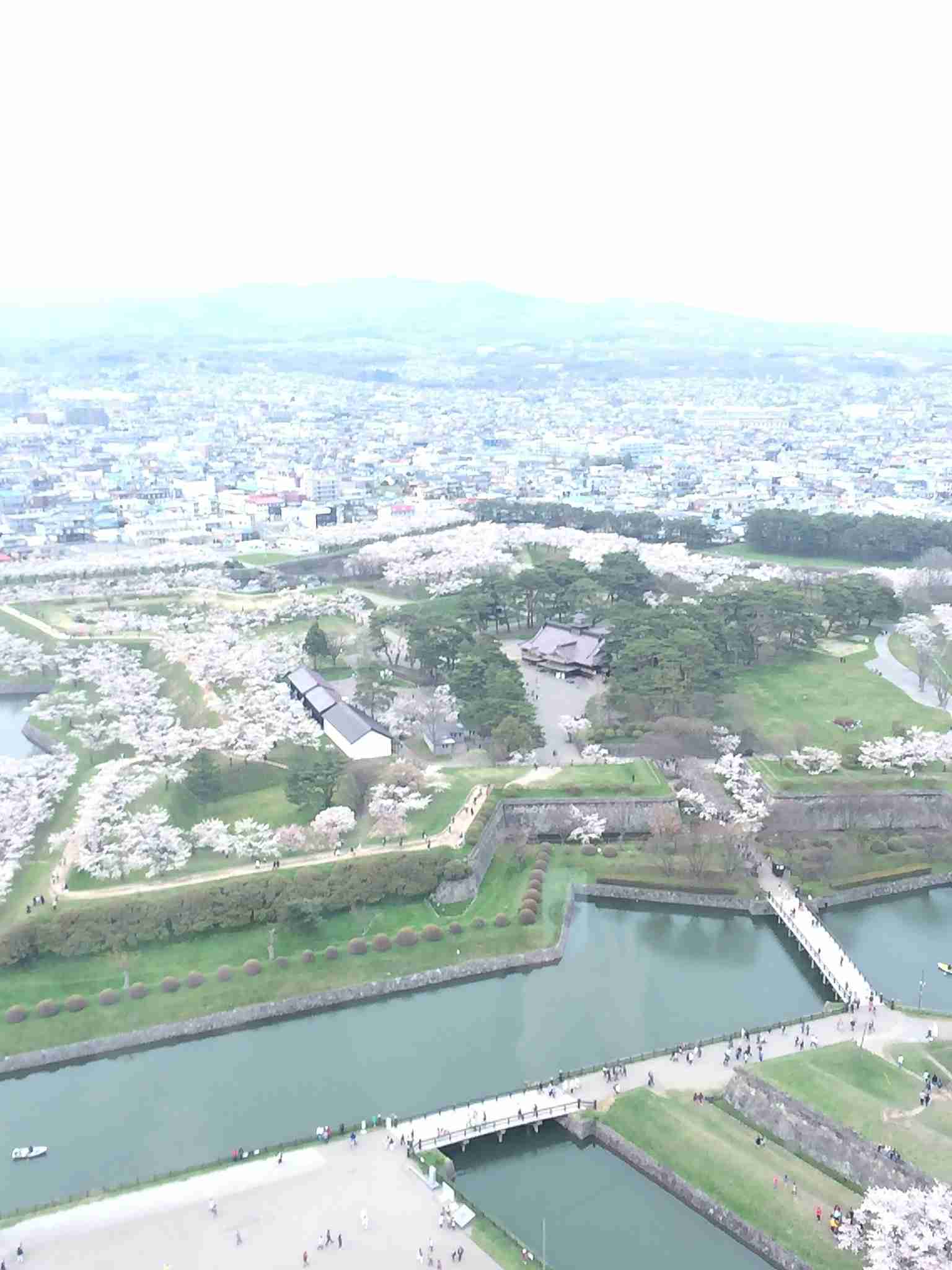 GW10連休で旅行する人の相談総合トピ