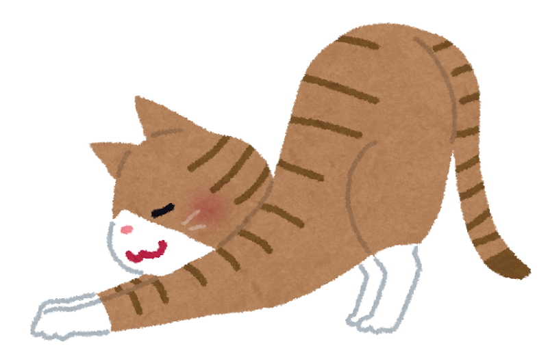 伸び猫の画像