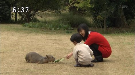両陛下、皇居外で最後の公務=「みどりの式典」出席