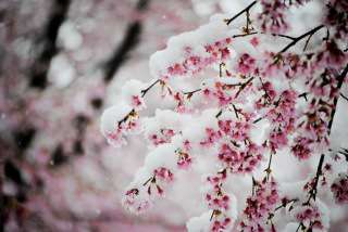 【エイプリルフール】嘘をついてみるトピ