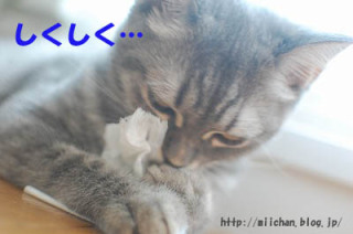 【ネタトピ】今年5月のGW、もしもガルちゃんも10連休になったら…？