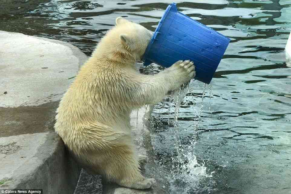 【効果】水を飲む！