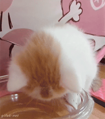 【効果】水を飲む！