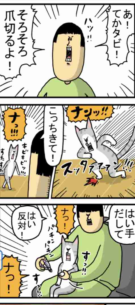 赤江珠緒アナが自虐「芝生の上では誰とでも寝る女」　不倫は完全否定「芝生以外では寝ていない」