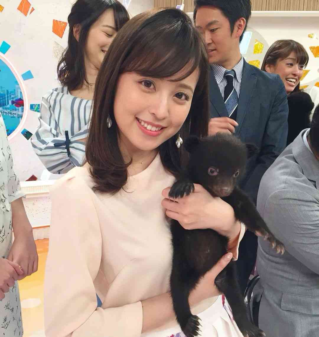 いろんな動物の赤ちゃんがみたい