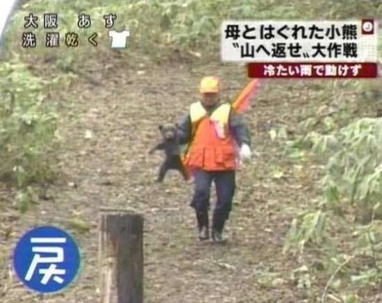 いろんな動物の赤ちゃんがみたい