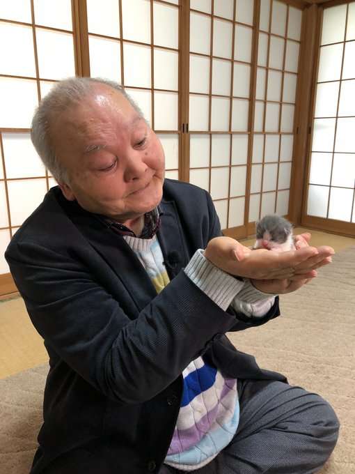 いろんな動物の赤ちゃんがみたい