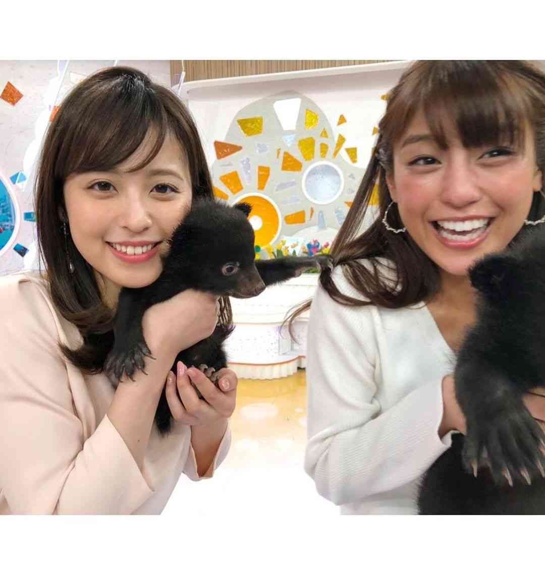 いろんな動物の赤ちゃんがみたい