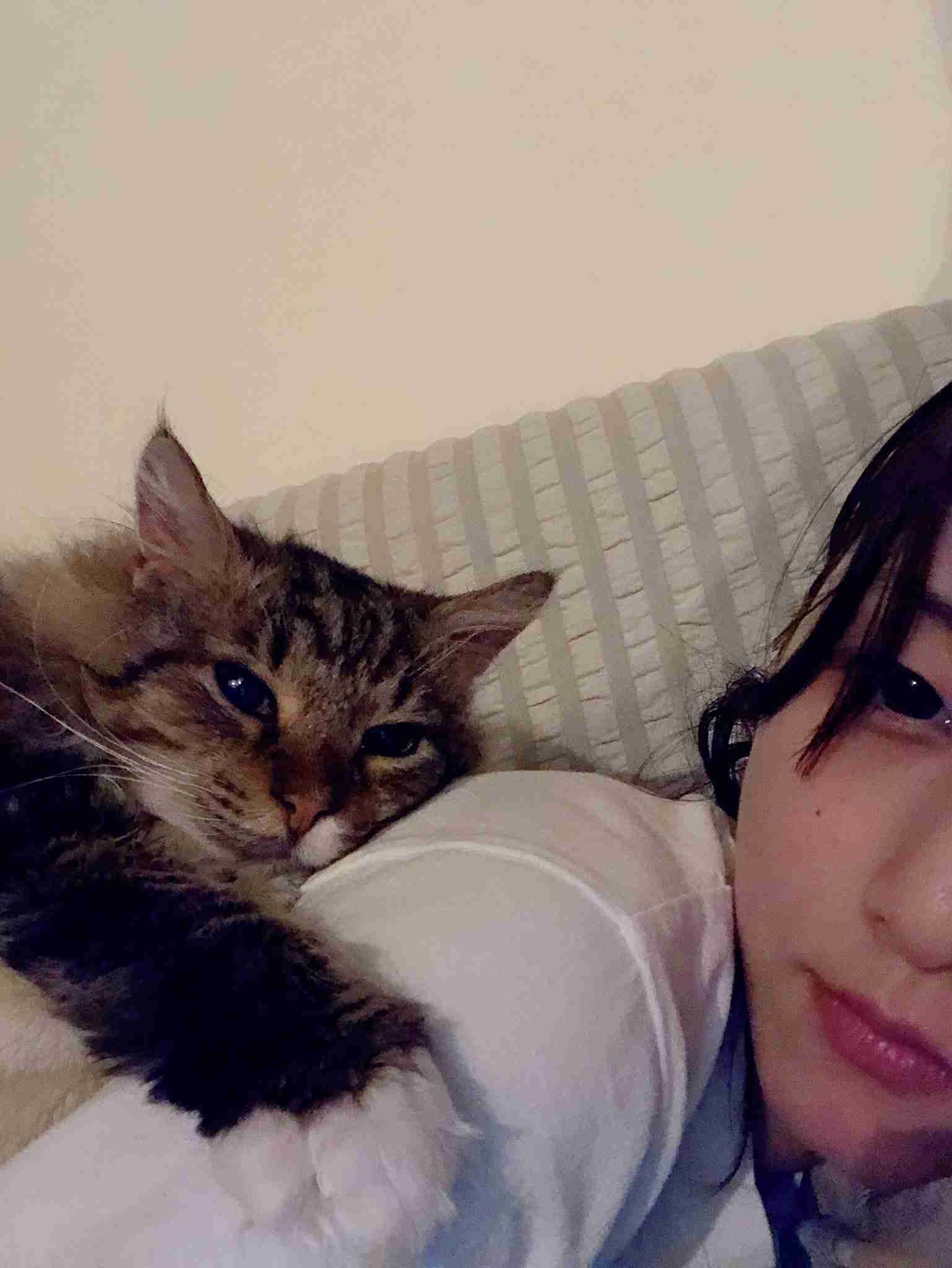 加藤浩次、NGT48山口真帆へ運営側の「会社を攻撃する加害者だ」に納得できず