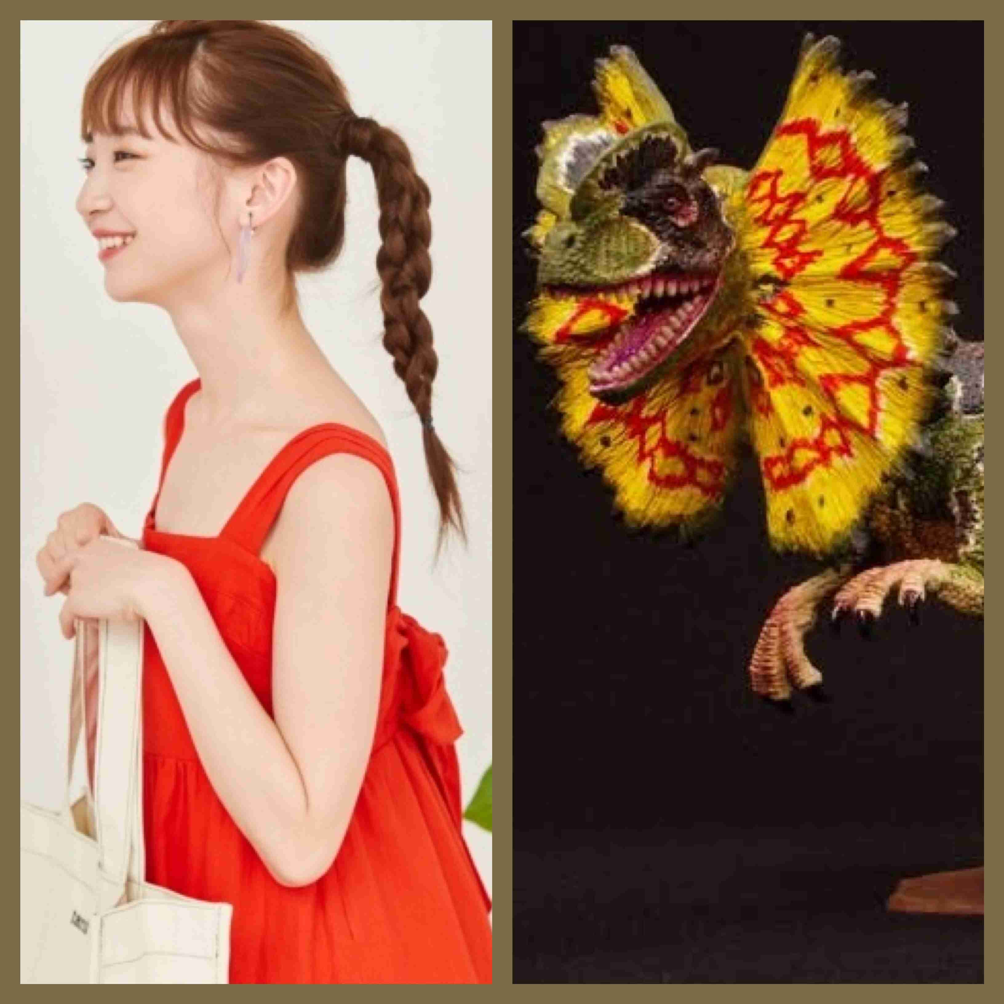 加藤浩次、NGT48山口真帆へ運営側の「会社を攻撃する加害者だ」に納得できず