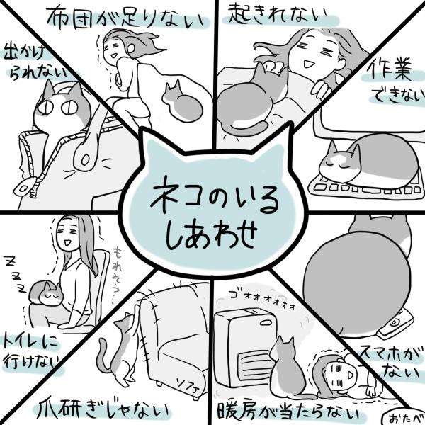 なぜそこにいる⁈ ってなる猫画像