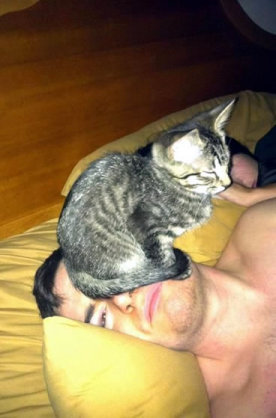 なぜそこにいる⁈ ってなる猫画像