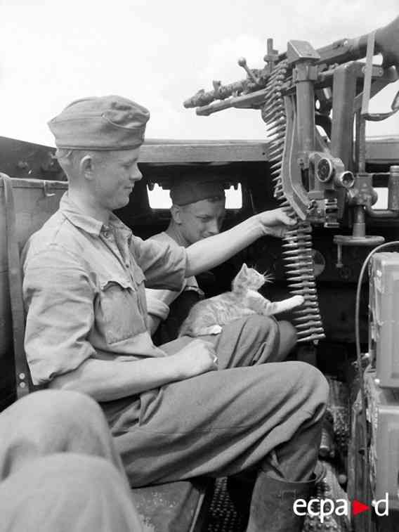 なぜそこにいる⁈ ってなる猫画像