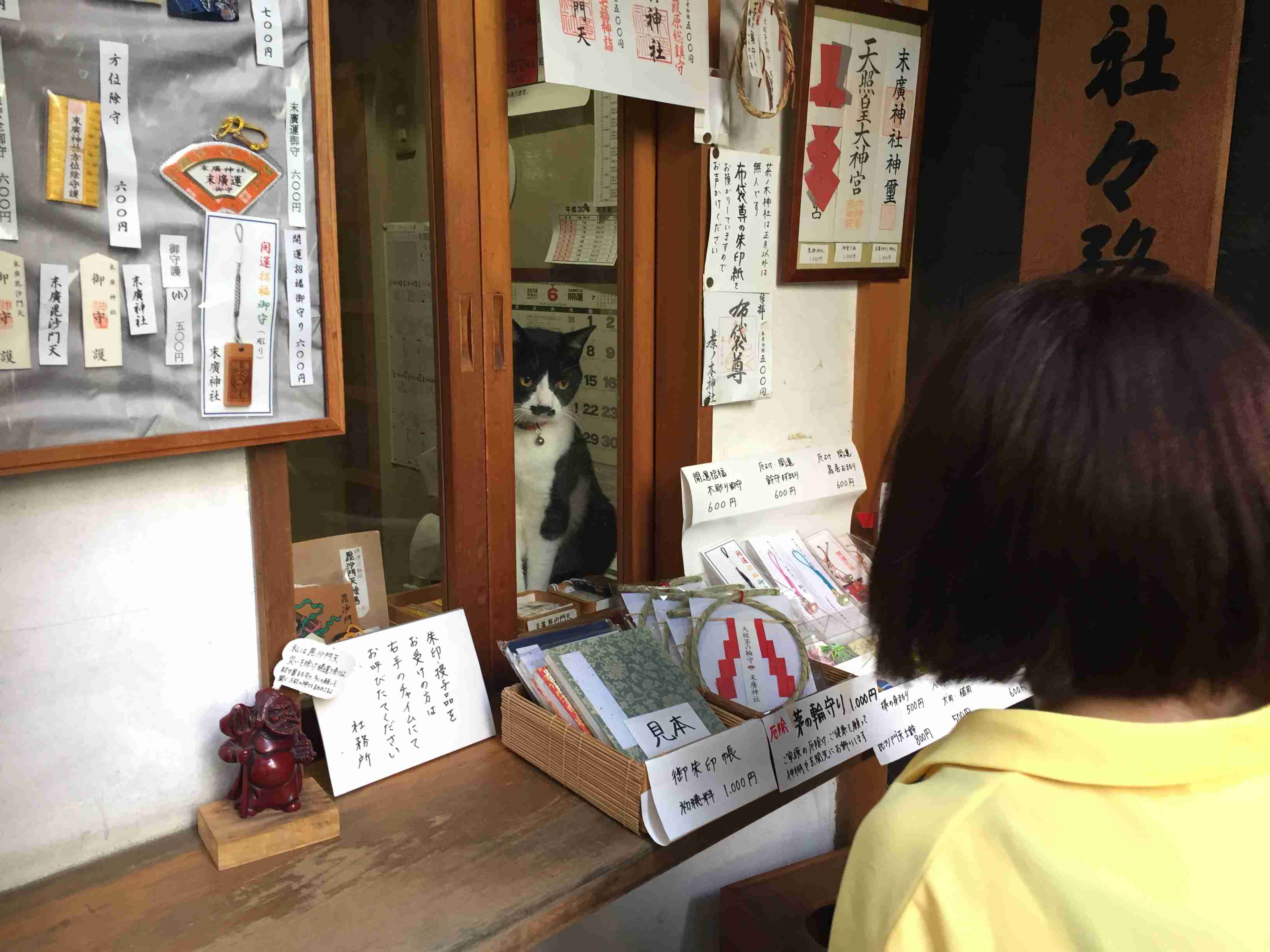 なぜそこにいる⁈ ってなる猫画像