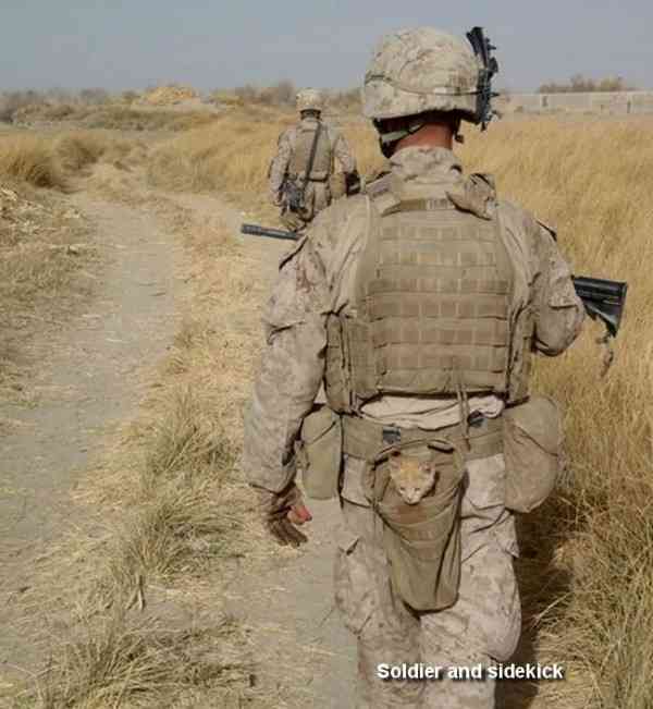 なぜそこにいる⁈ ってなる猫画像