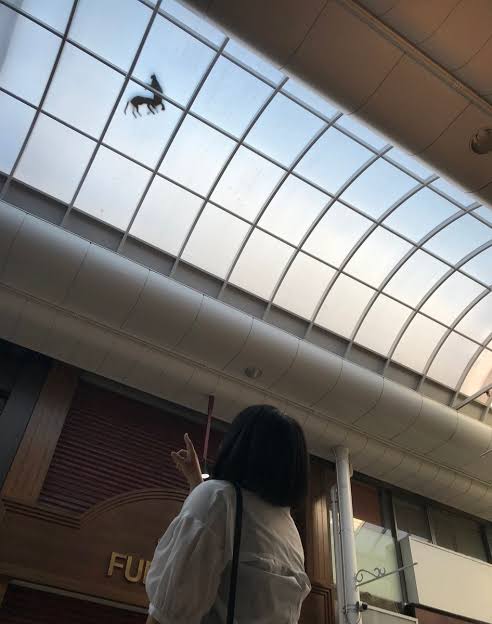 なぜそこにいる⁈ ってなる猫画像